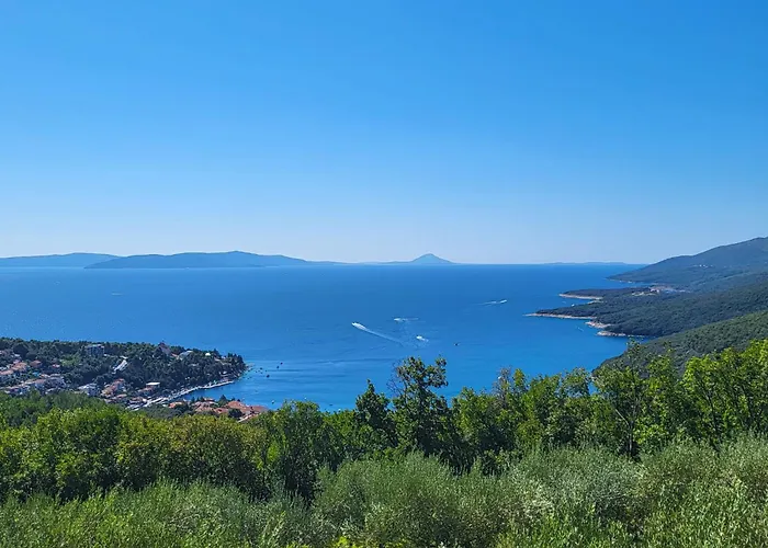 Branka By Interhome Appartement